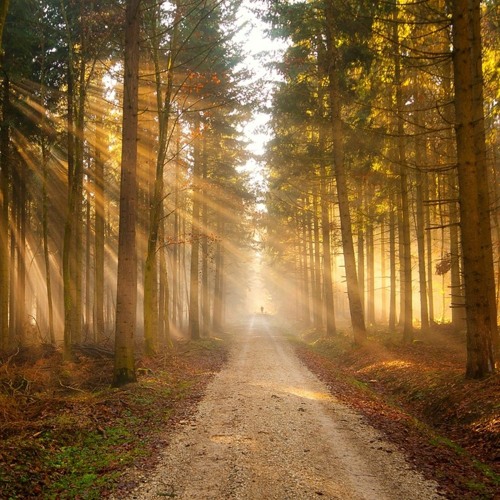 Shanti Path -Psytrance