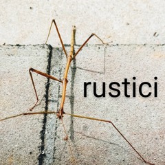 Rustici-Counter Melody