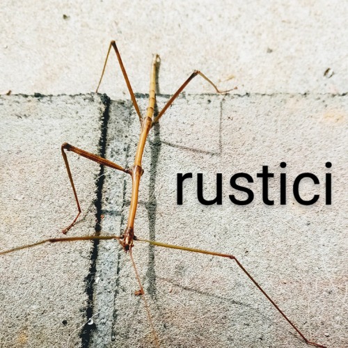 Rustici-Counter Melody