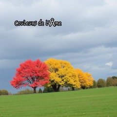 Couleurs de l'Âme.wav