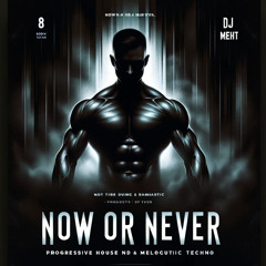 NOW OR NEVER - Melodic Techno & Progressive House Set VOL-37