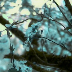 Are You Lying To Your Therapist About Being Sober Again? Yes. (Acoustic)