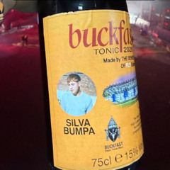 Silva Bumpa - If U Wanna Party