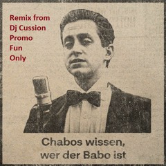 Wissen wer der Babo ist Remix von Jazzcover (DnB)