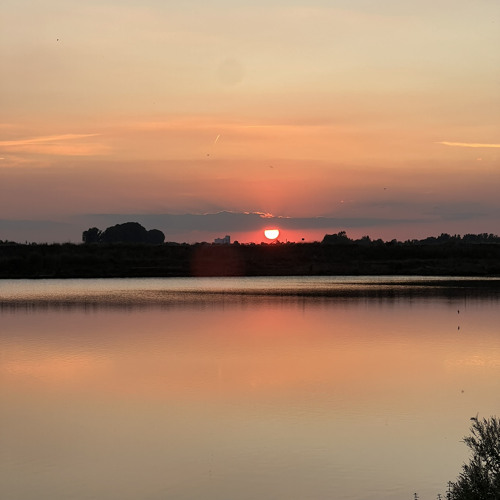 Stream The Boys of Summer, Don Henley Live Howard Stern Show by Nzez