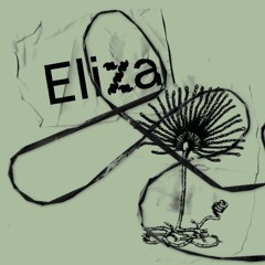 An Affair With Eliza