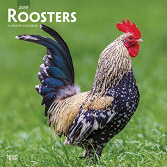 Access EBOOK 📮 Roosters 2019 12 x 12 Inch Monthly Square Wall Calendar, Domestic Far