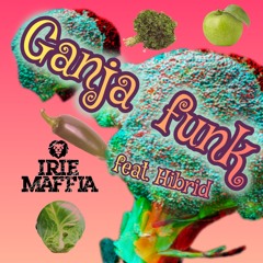 Ganja Funk (feat. Hibrid)