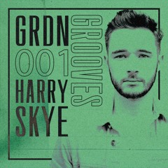 GRDN GROOVES 001 - Harry Skye