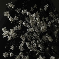 윤종신,민서-좋니,좋아.