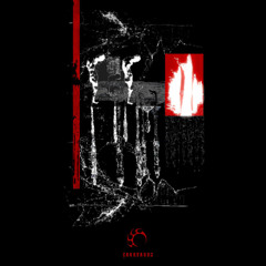 Premiere: NHLS - whysoserious? [ÇARKVA002] (Free Download)