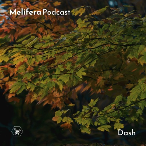 Melifera Podcast ⬢ Dash