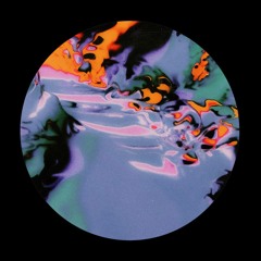 BPDS01 - Disc Service 01 - 12" CLIPS