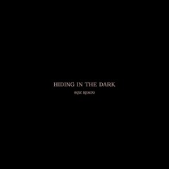 Hiding in the Dark (Kbz Remix)