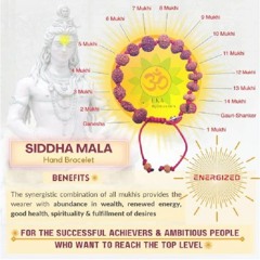 What Are the Changes You See After Wearing Rudraksha?