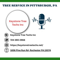 what-happens-if-a-tree-falls-on-my-home-pittsburgh-pa