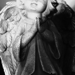 MADE IN MAHALLE p.raven