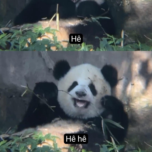 em nào có tội remix