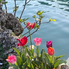 Channels_of_life_are_we! 🌺🌱🌸 Canal de Vida soy! 🌺🌱🌹