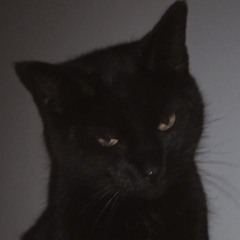 Áurea Cósmica (Instrumental Version) (Slowed + Reverd)