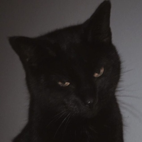 Reloj cat mrl hotsell