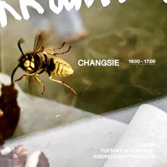 CHANGSIE 24.8.21