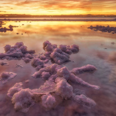 sing my song (prod. loq)