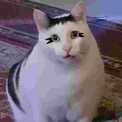 bro think he's femtanyl (vocal from scarlxrd)