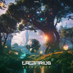 Lactarius - Experience @SOLMUSIC