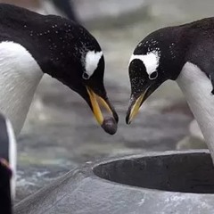 I can’t stopuifuplAnond y.ing - demo by mikey