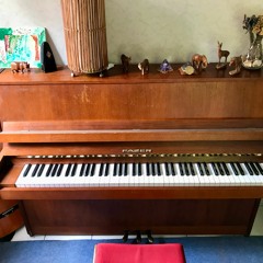 We bought a piano! Ludovico Einaudi's "Fly"MP3
