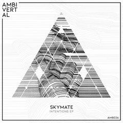 Skymate - Memory Line (Original Mix) / Preview