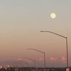 Luna (acoustic demo)