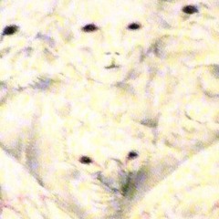 dancing in slow motion - shit crazy