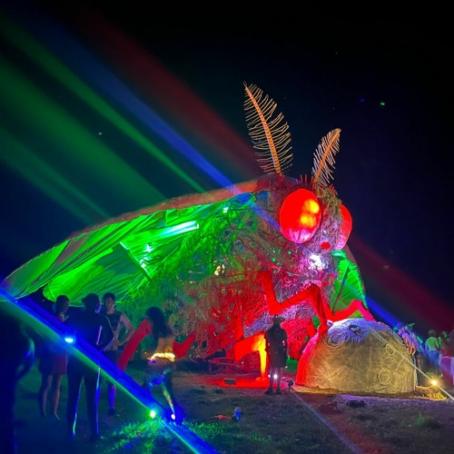 Firefly 2023 Post Bug