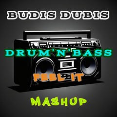 Budis Dubis - DnB Feel It Mashup