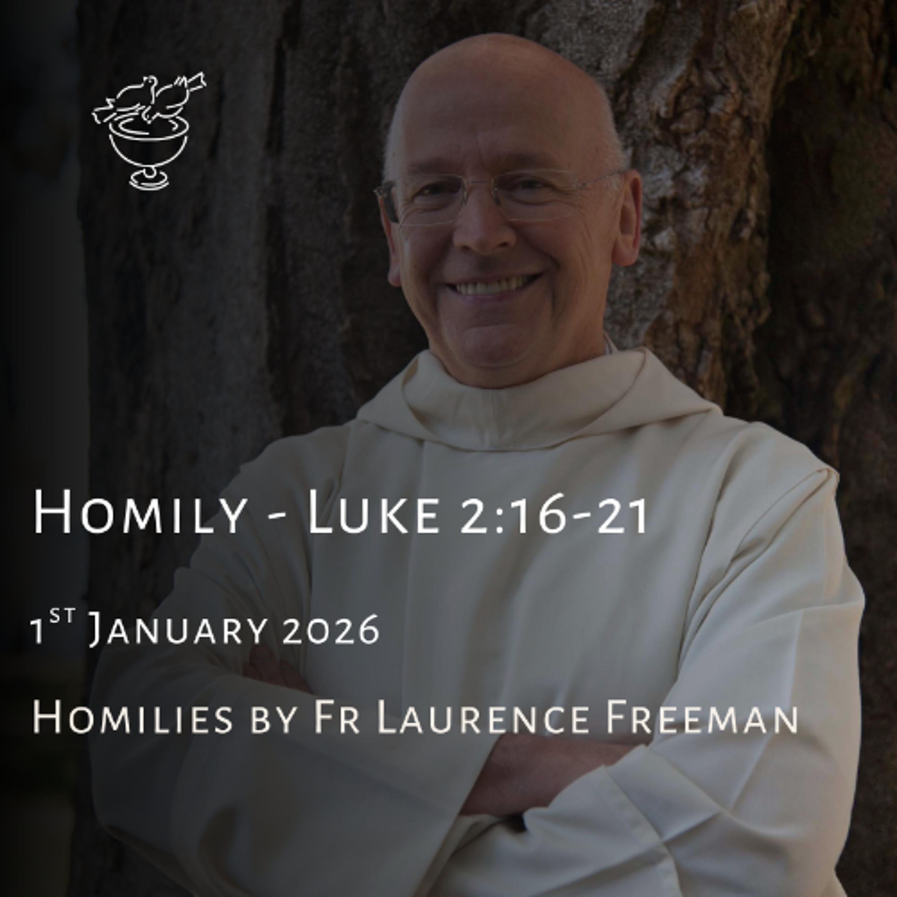 Homily Luke 2:16-21