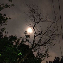 Lofi_Guru Randhawa - Qatal (Lyrics)   Ni Billo Teri Ankh Qatal Karein Lakh Qatal