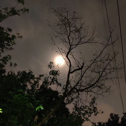 Lofi_Guru Randhawa - Qatal (Lyrics)   Ni Billo Teri Ankh Qatal Karein Lakh Qatal