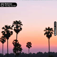 Stallonee - The Way You Get (Extended) [Build It Deep]