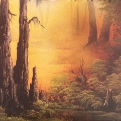Fog