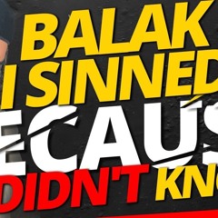 BALAK: I SINNED BECAUSE I DIDN’T KNOW - STUMP THE RABBI (209)