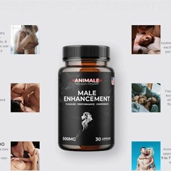 Animale Male Enhancement Australia Worth, Outlines and Markdown Offers!