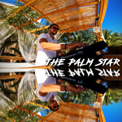 The Palm Star Ibiza Mix 4