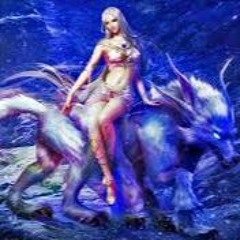 SMARTMETER - Wolf Spirit