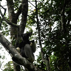 exp from soundinstallation -Lemuria Part 2