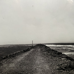 River Meets The Sea.