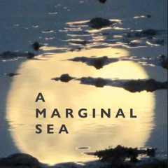 A Marginal Sea (sound performance Belfast Book Festival June 2023)