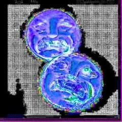 SPAGHETTI