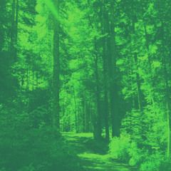 Forest to hear